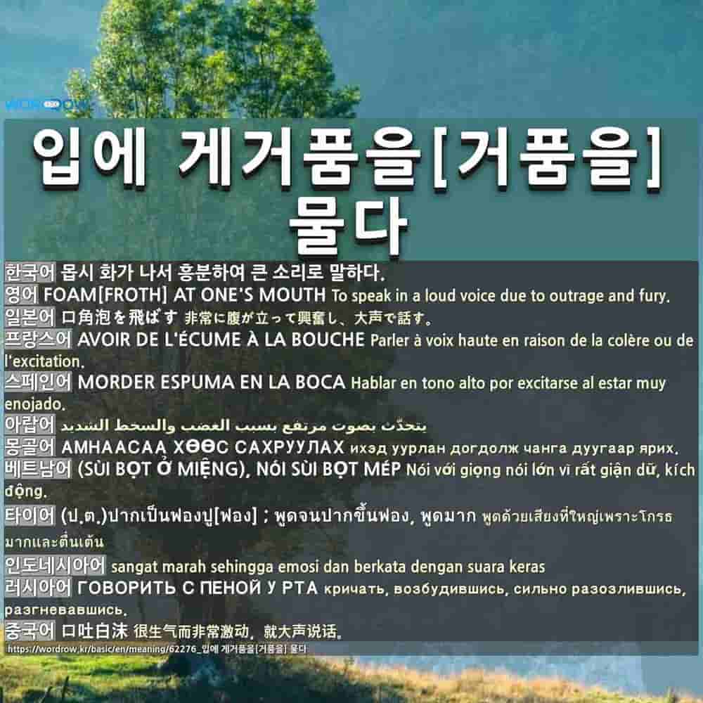 입에 게거품을 거품을 물다 口角泡を飛ばす